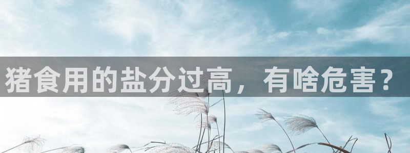 威九国际天美