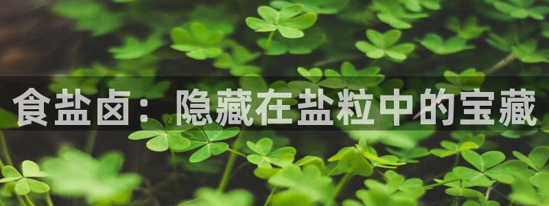 威九国际v96242cc官网版