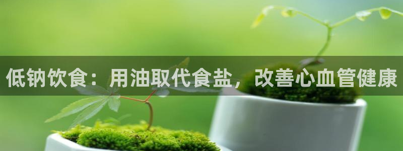 威九国际ppt免费