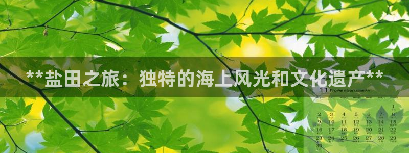 威九国际官方网站
