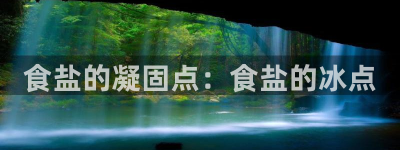 保定威九网络科技有限公司怎么样