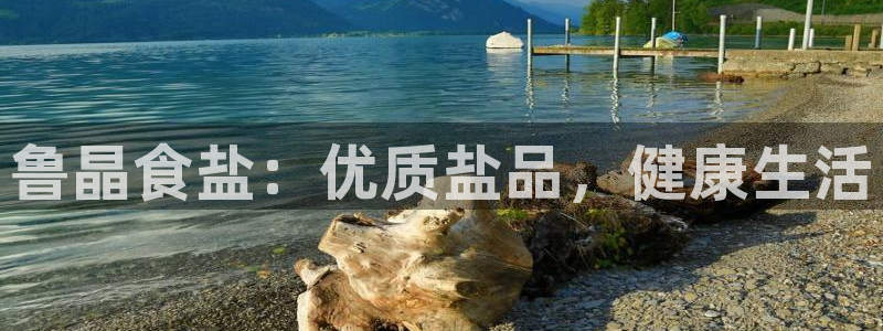 威九国际清砖码