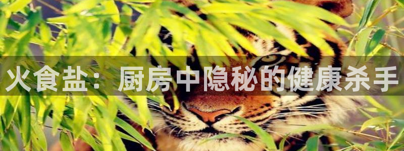 威九国际可以提现吗是真的吗