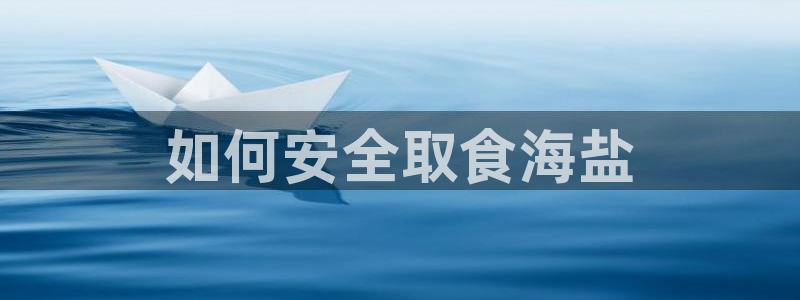 威九国际软件