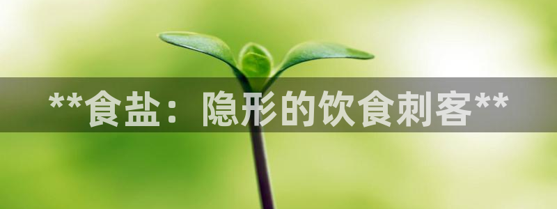 威九国际精