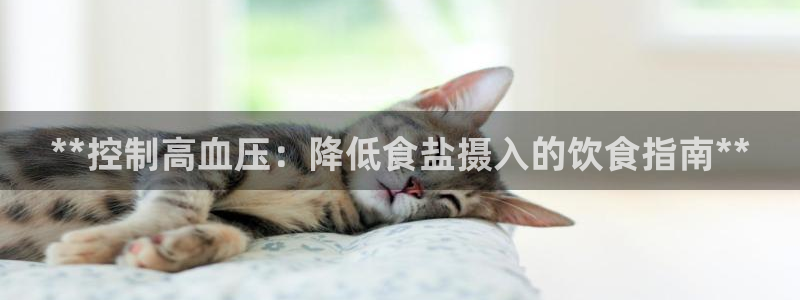 威九国际官网在线进入网站查询网址
