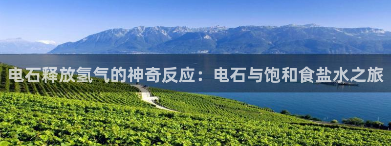 威九国际清砖码