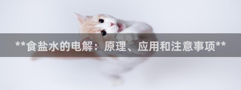 威九国际官网版下载