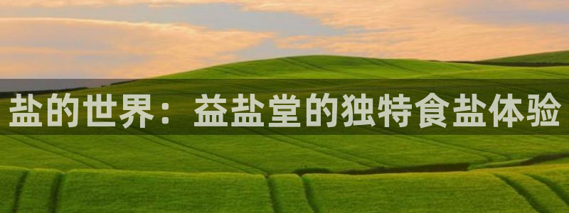 威九国际78免下载