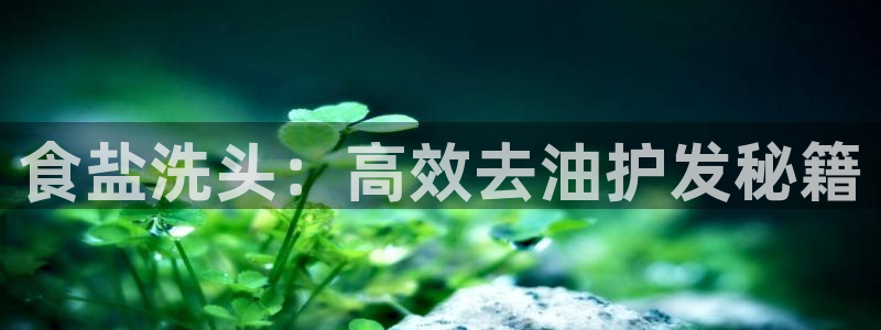 威九国际网站入口地址