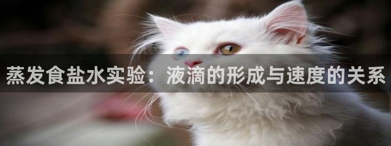 威九国际旗下艺人都有谁