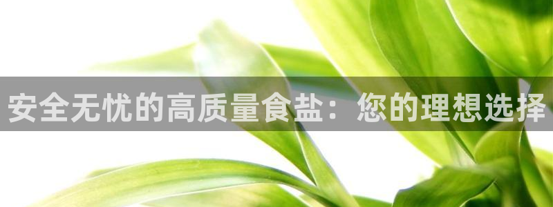 威九国际女演员名单介绍