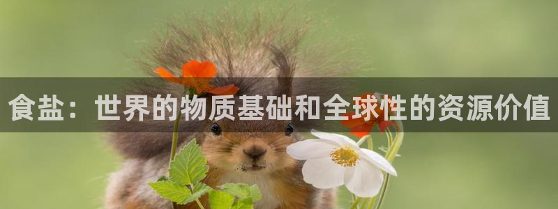 威九国际摩托电影HD