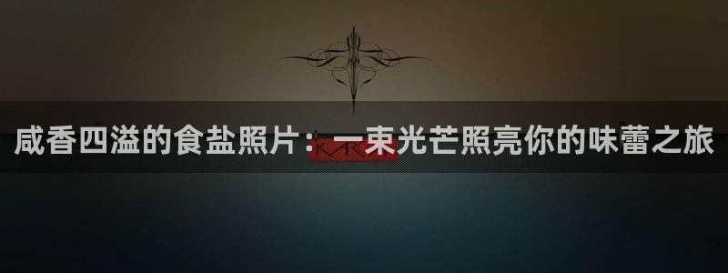 威九国际韩国