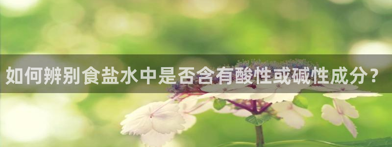 威九国际app大全下载安装