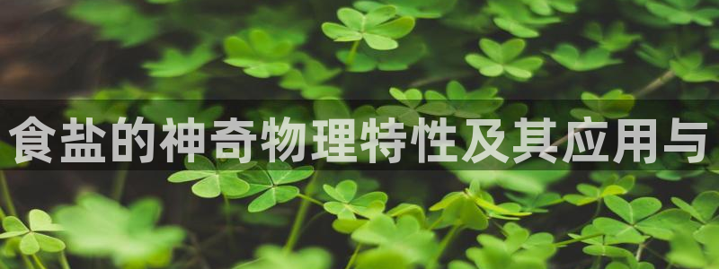 威九国际最近的视频