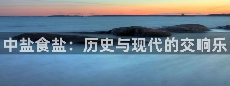 威九国际v9