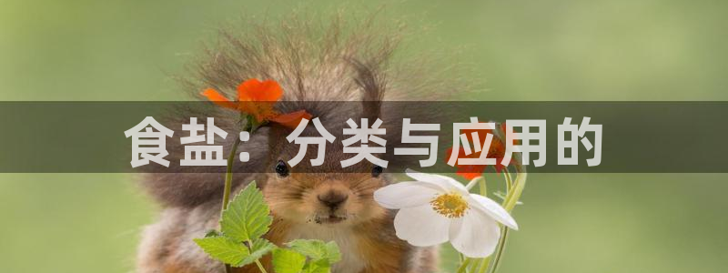 威九国际小说