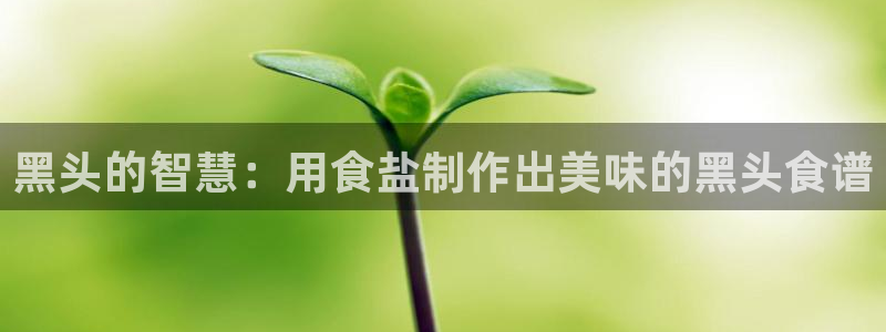 威九国际精彩推荐怎么样