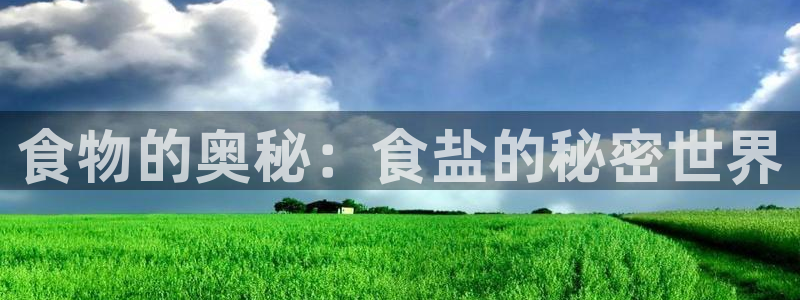 威九国际网站官网