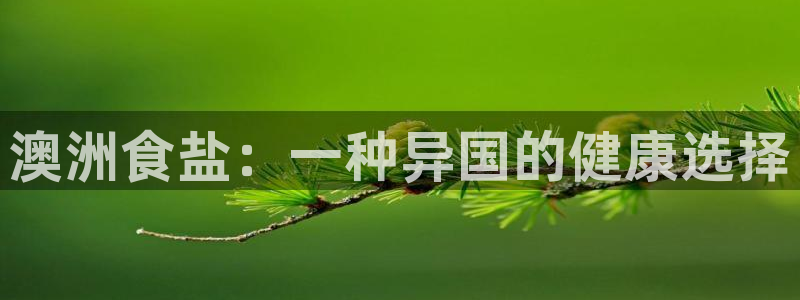 威九国际网站入口官网首页