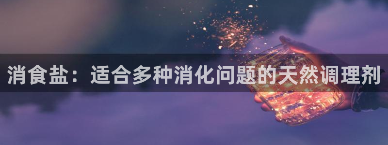 威九国际小说