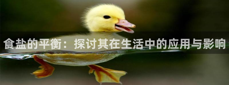 威九国际网站入口rdquo