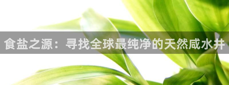 威九国际官网登录入口网站：食盐之源：寻找全球最纯净的天然咸水