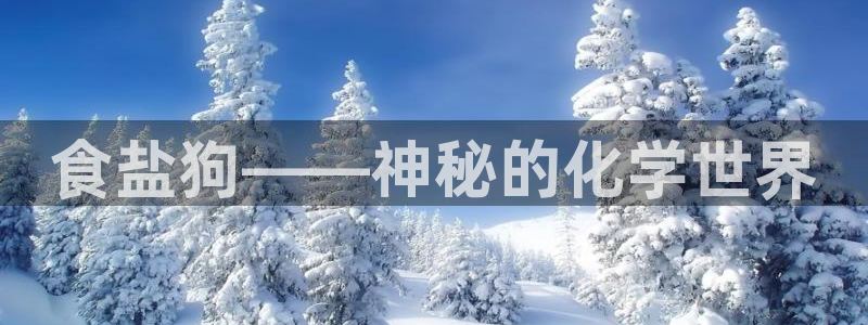 78mapp威九国际成全视频