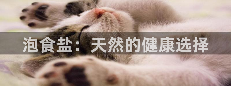 威九国际女主角