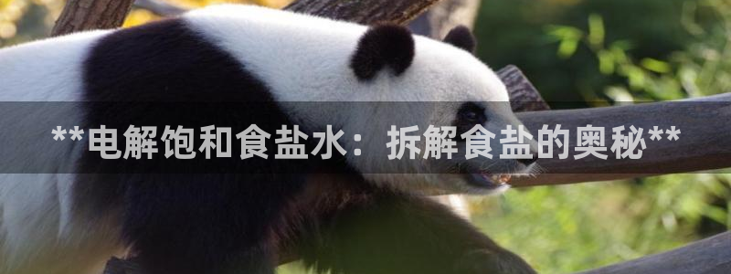 威九国际网站进入客服中心怎么进