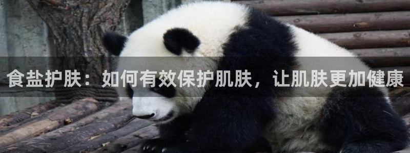 威九国际客服电话号码查询