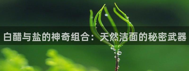 威九国际APP客服