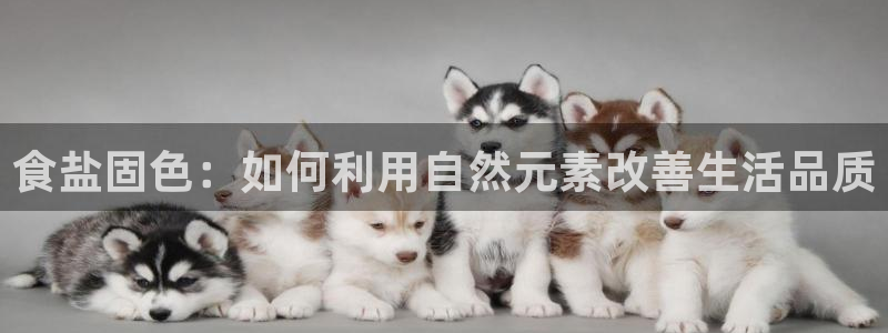 威九国际app下载