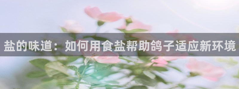 威九国际女主角