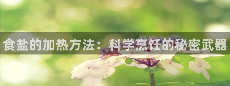 威九国际狂飚电影