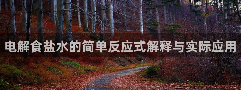 威九国际游戏app网址