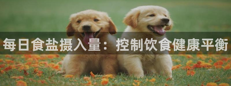 威九国际66m66官网