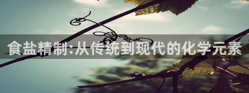 威九国际app客服电话：食盐精制:从传统到现代的化学元素