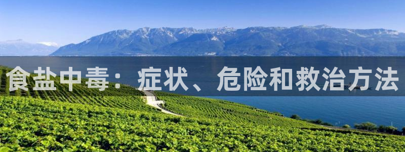 威九国际网站登录