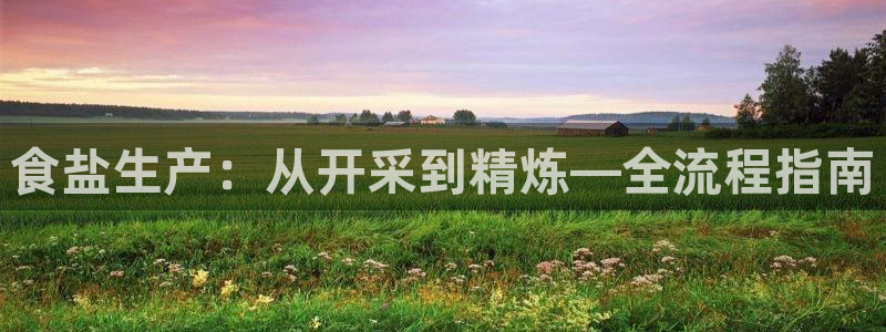 威九国际78m78下载