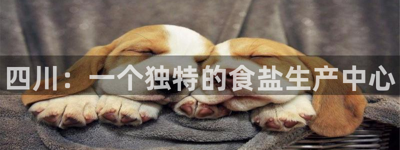 威九国际入囗：四川：一个独特的食盐生产中心