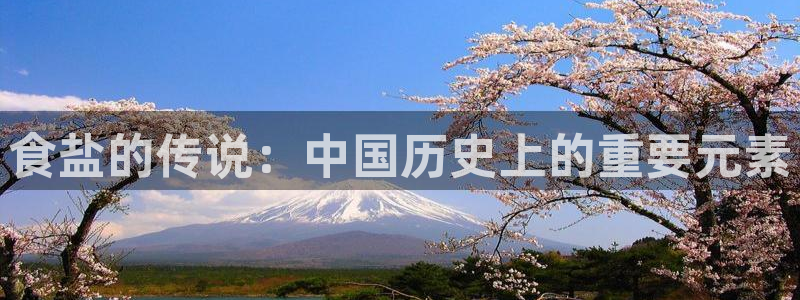 威九国际网站入囗：食盐的传说：中国历史上的重要元素