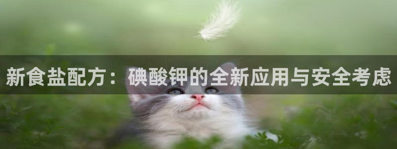 威九国际网站更新了吗：新食盐配方：碘酸钾的全新应用与安全考虑