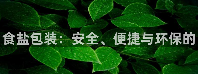 威九国际清砖码：食盐包装：安全、便捷与环保的