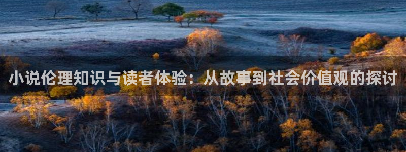 笔趣书阁app下载：小说伦理知识与读者体验：从故事到社会价值观的探讨