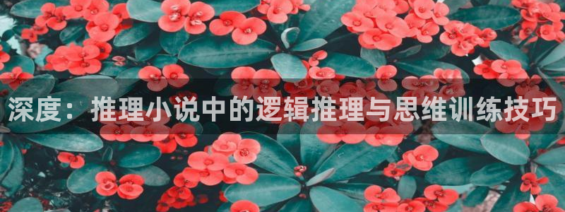 笔趣书阁免费阅读：深度：推理小说中的逻辑推理与思维训练技巧