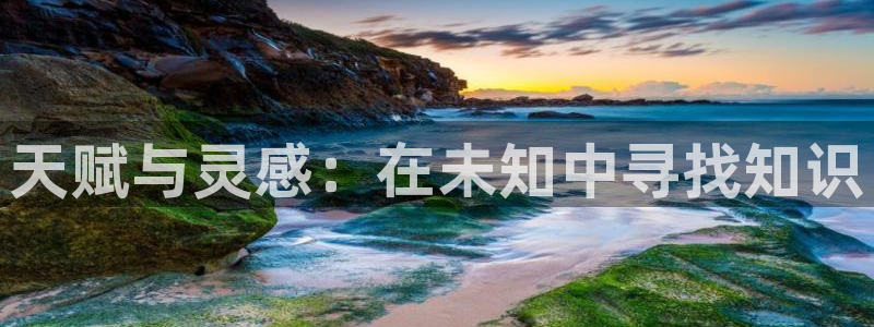 趣书网downbook：天赋与灵感：在未知中寻找知识